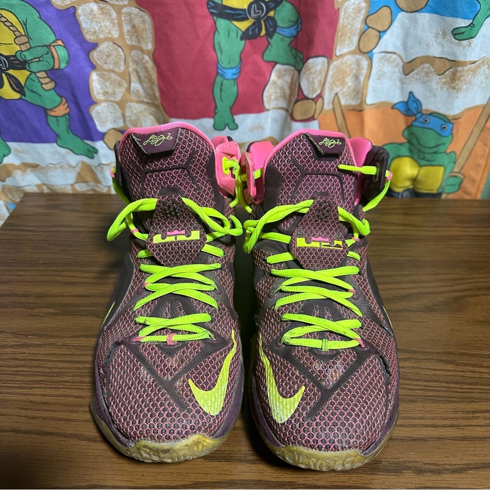 Nike Lebrons